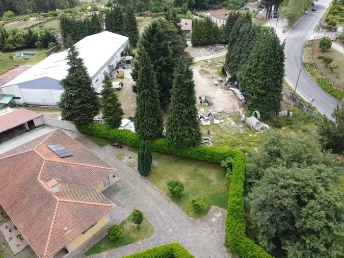 Negócio para Venda em Adoufe e Vilarinho de Samardã Foto 7