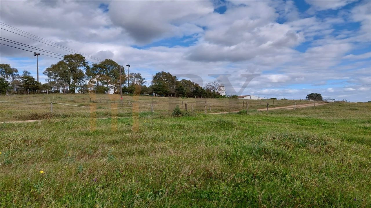 Terreno para Venda em Entradas Foto 3