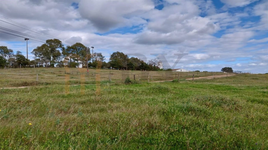 Terreno para Venda em Entradas Foto 3