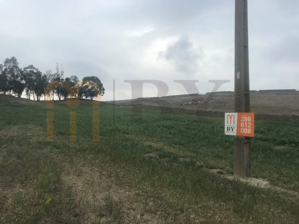 Terreno para Venda em São Miguel do Pinheiro, São Pedro de Solis, São Sebastião dos Carros Foto 1