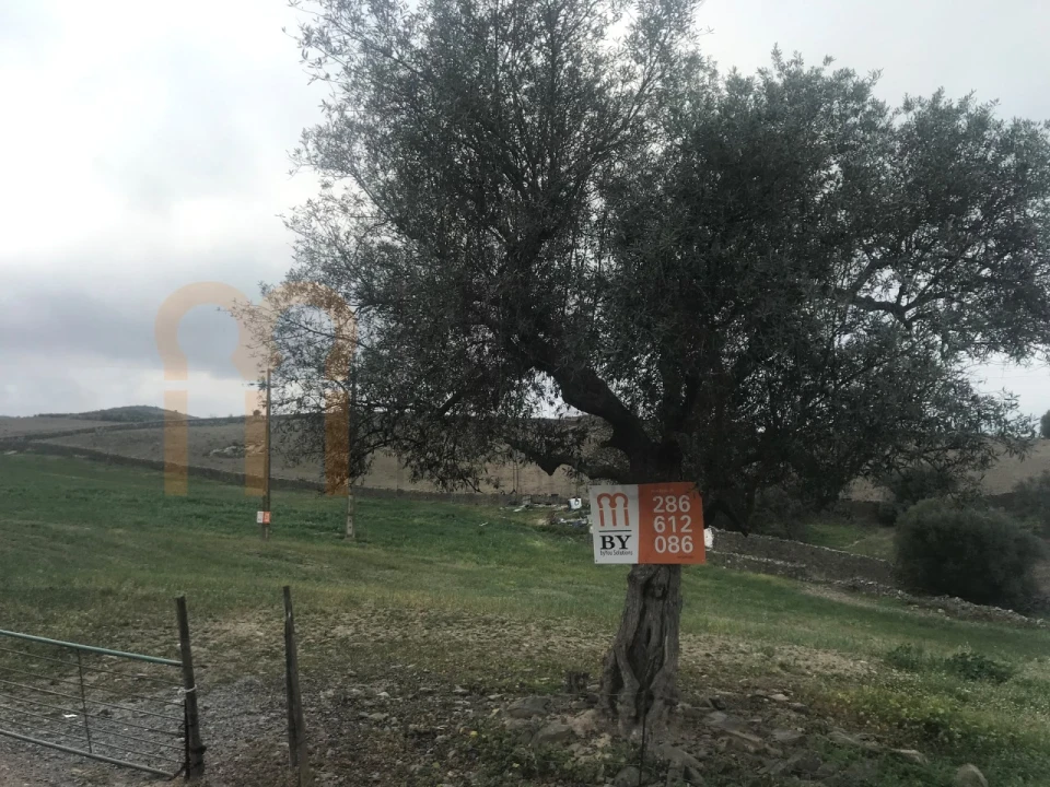 Terreno para Venda em São Miguel do Pinheiro, São Pedro de Solis, São Sebastião dos Carros Foto 4