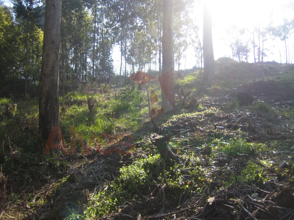 Terreno para Venda em Guilhabreu Foto 8
