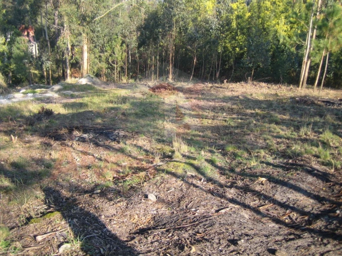 Terreno para Venda em Guilhabreu Foto 7