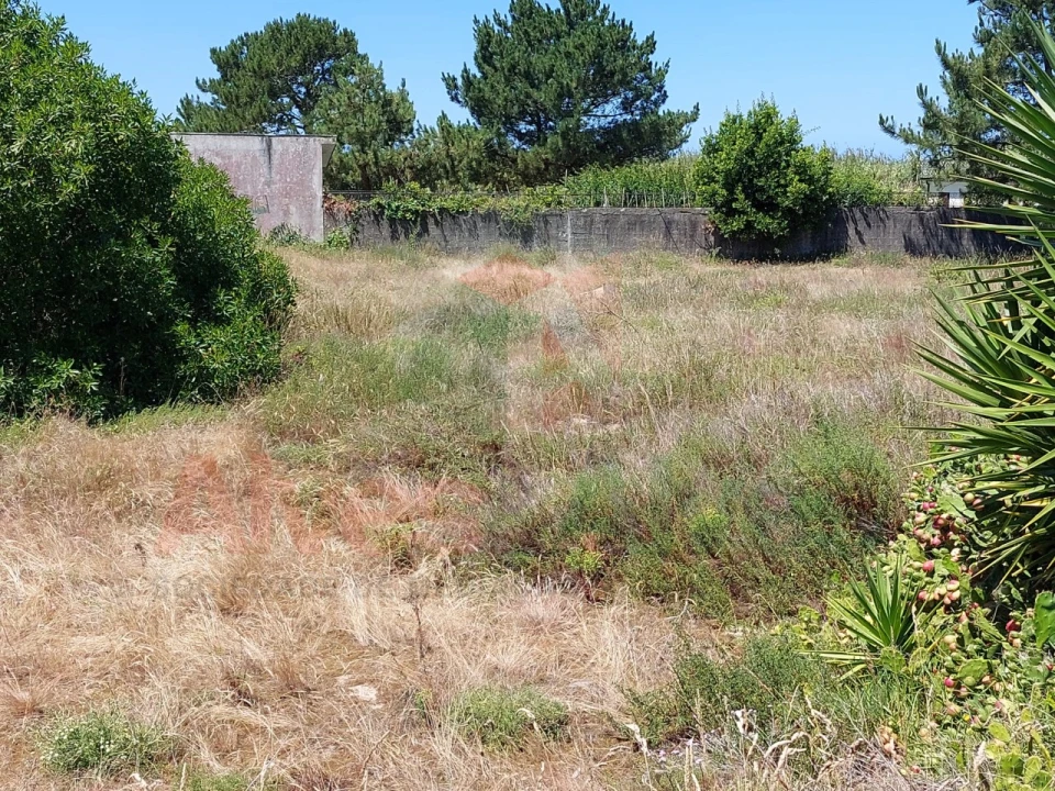 Terreno para Venda em Mindelo Foto 2