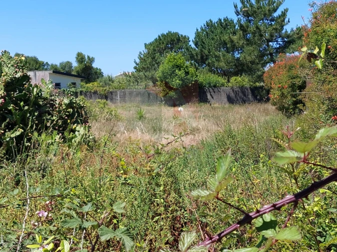 Terreno para Venda em Mindelo Foto 5