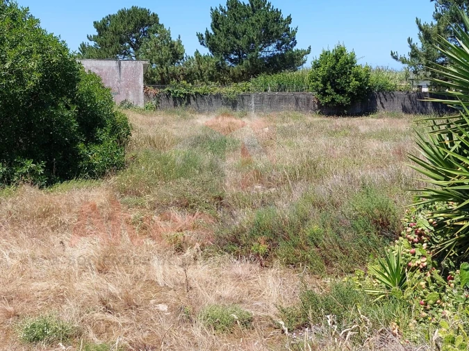 Terreno para Venda em Mindelo Foto 2