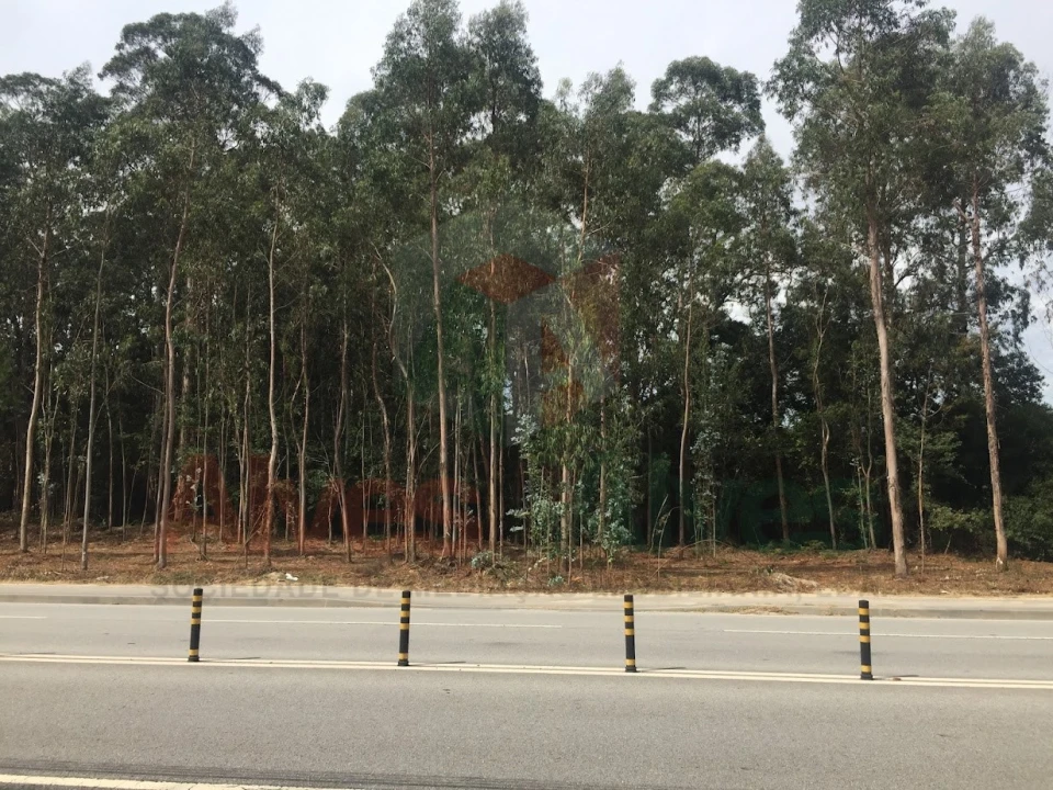 Terreno para Arrendamento em Castêlo da Maia Foto 1