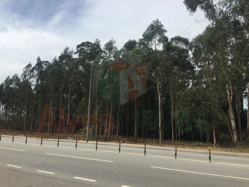 Terreno para Arrendamento em Castêlo da Maia Foto 2