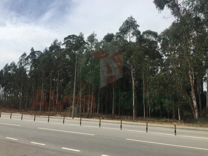 Terreno para Arrendamento em Castêlo da Maia Foto 2