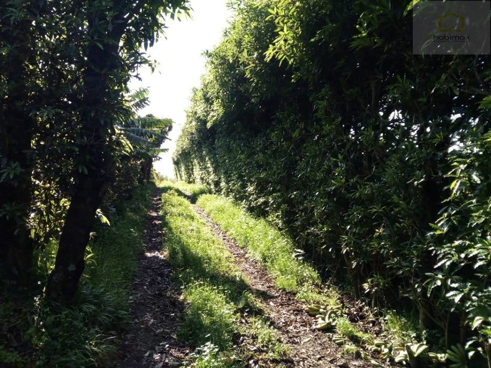 Terreno para Venda em Vila Franca do Campo (São Miguel) Foto 14