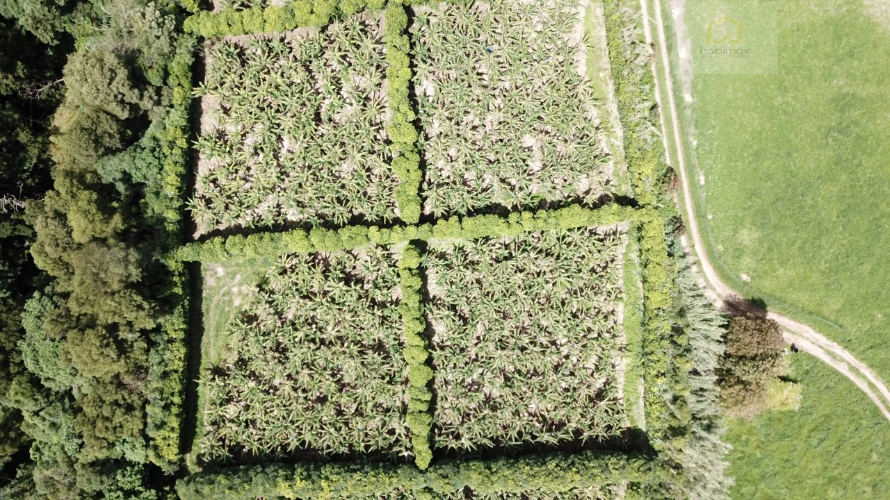 Terreno para Venda em Vila Franca do Campo (São Miguel) Foto 21