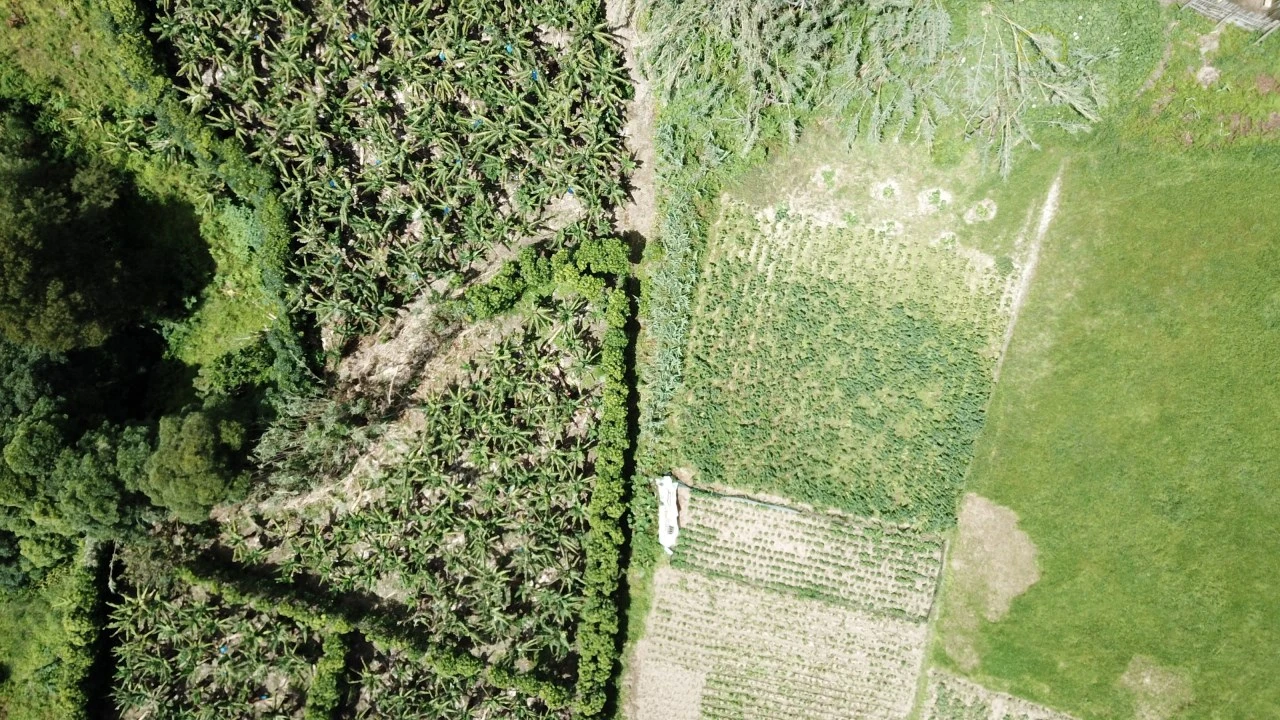 Terreno para Venda em Vila Franca do Campo (São Miguel) Foto 22