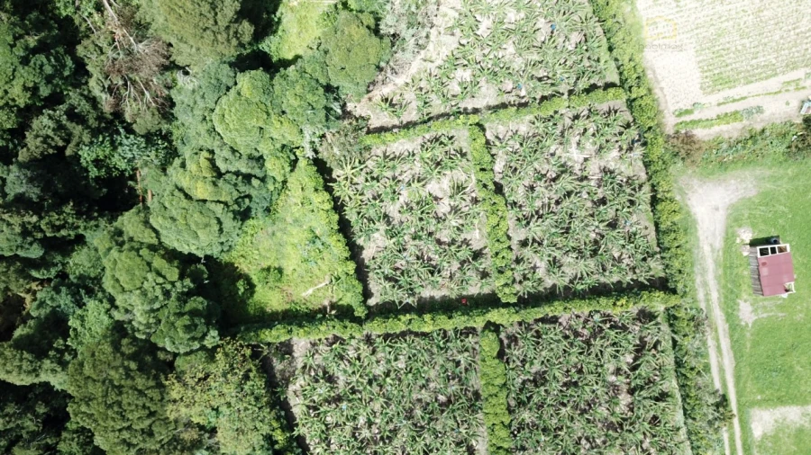 Terreno para Venda em Vila Franca do Campo (São Miguel) Foto 15