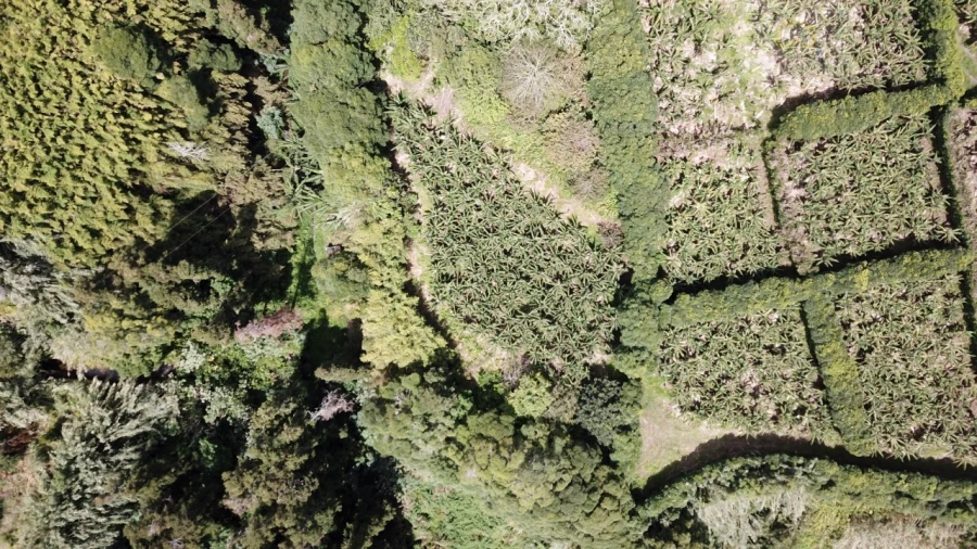 Terreno para Venda em Vila Franca do Campo (São Miguel) Foto 17