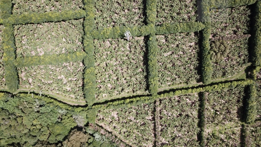 Terreno para Venda em Vila Franca do Campo (São Miguel) Foto 18