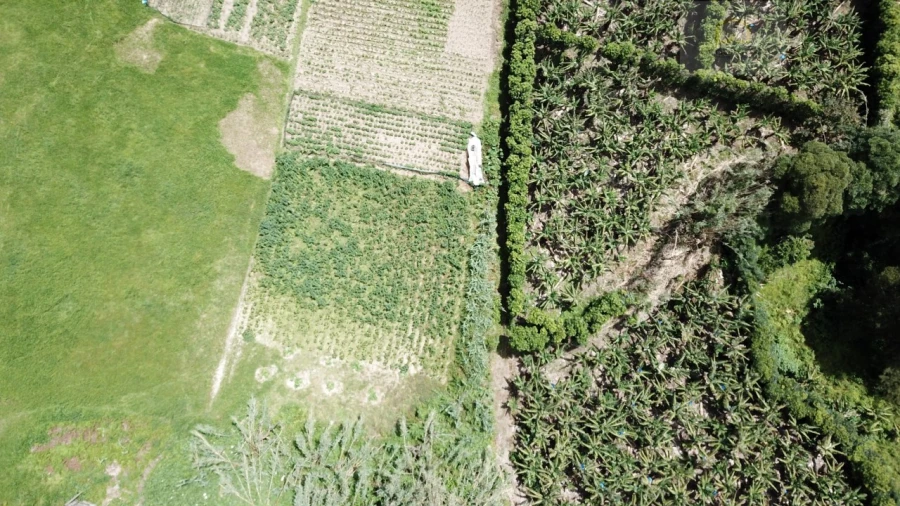 Terreno para Venda em Vila Franca do Campo (São Miguel) Foto 23