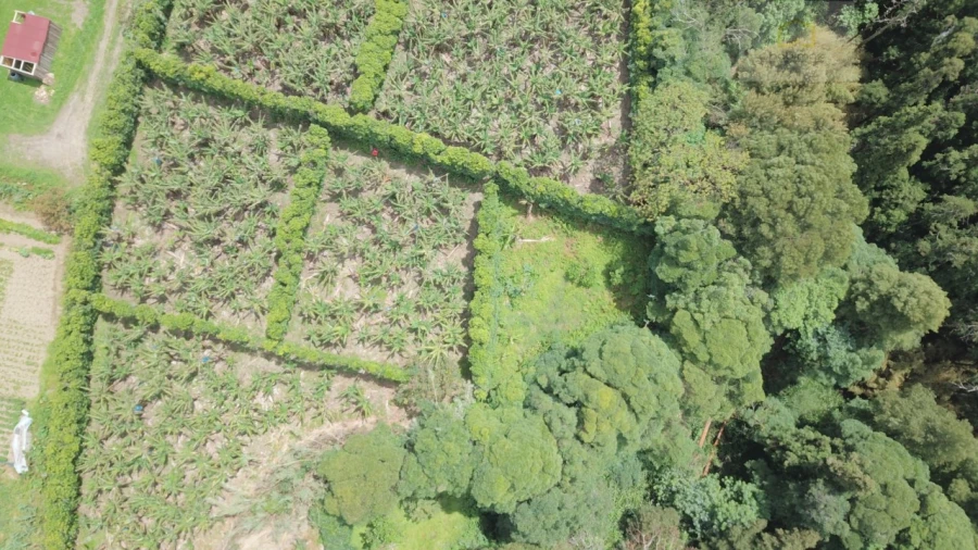 Terreno para Venda em Vila Franca do Campo (São Miguel) Foto 24