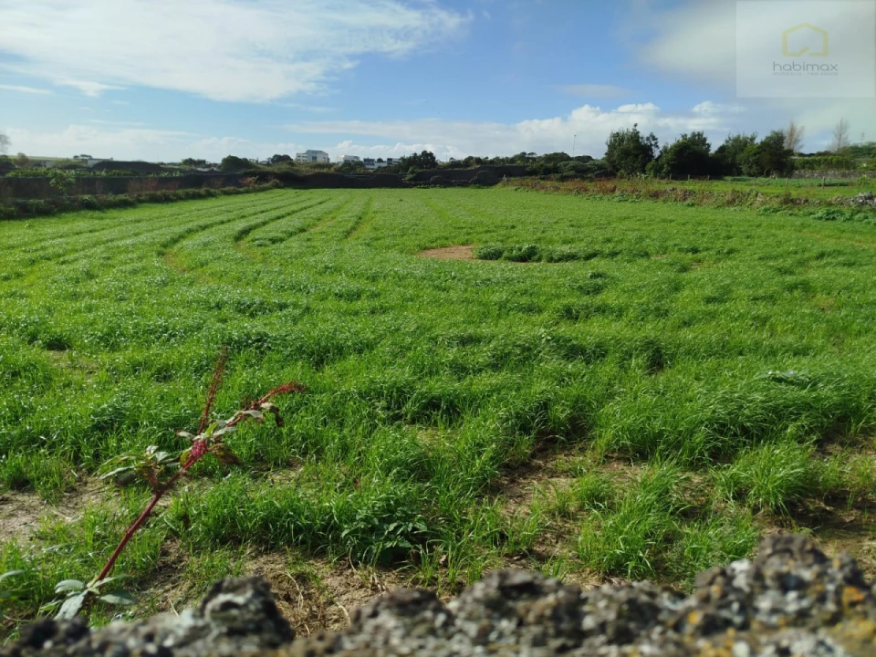 Terreno para Venda em Santa Clara Foto 4