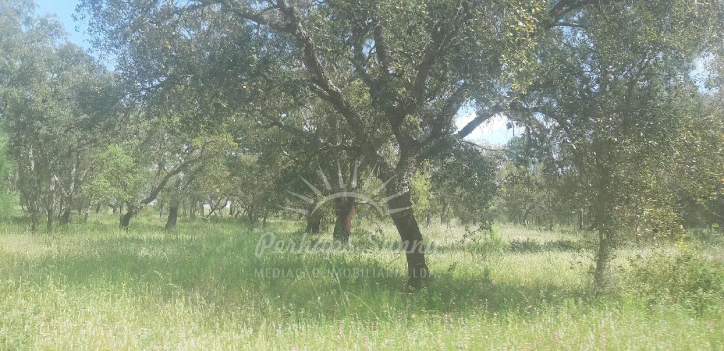 Terreno para Venda em Santa Maria do Castelo e Santiago e Santa Susana Foto 1