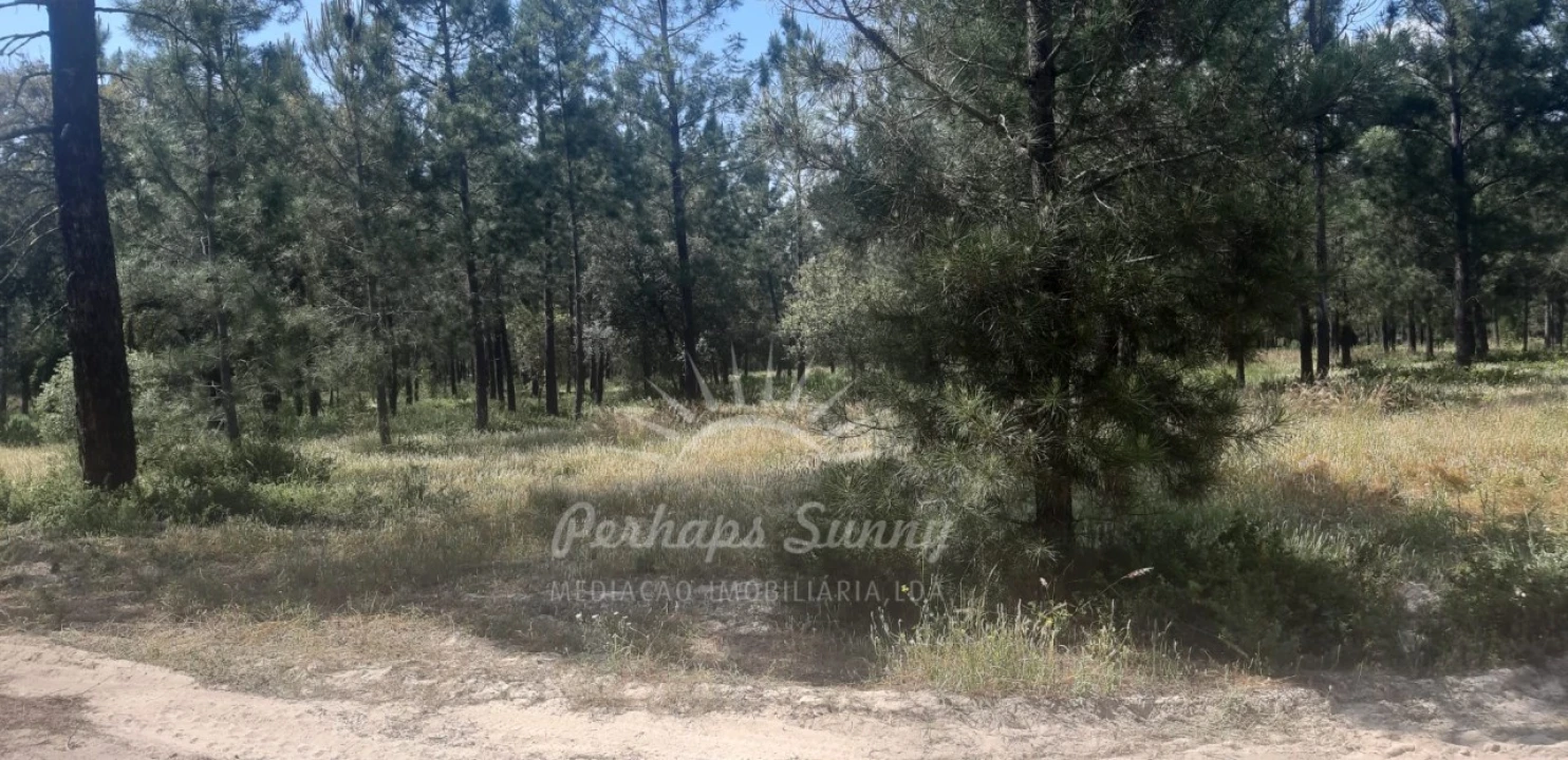 Terreno para Venda em Santa Maria do Castelo e Santiago e Santa Susana Foto 4
