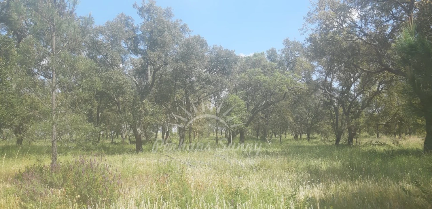 Terreno para Venda em Santa Maria do Castelo e Santiago e Santa Susana Foto 6