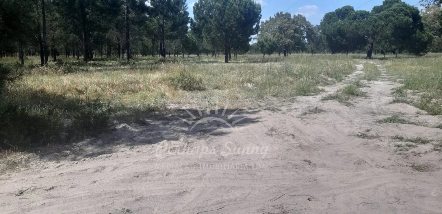 Terreno para Venda em Santa Maria do Castelo e Santiago e Santa Susana Foto 7
