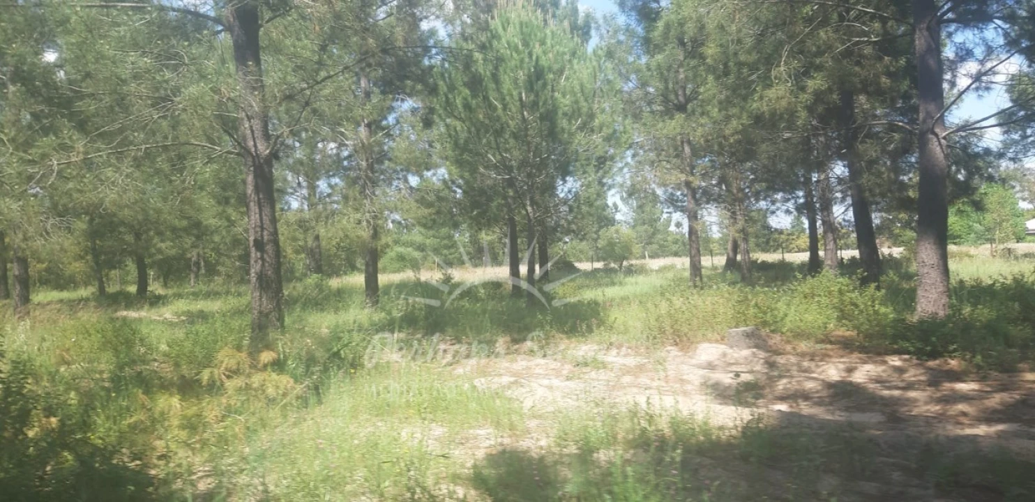 Terreno para Venda em Santa Maria do Castelo e Santiago e Santa Susana Foto 10