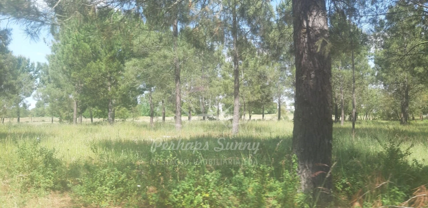 Terreno para Venda em Santa Maria do Castelo e Santiago e Santa Susana Foto 12