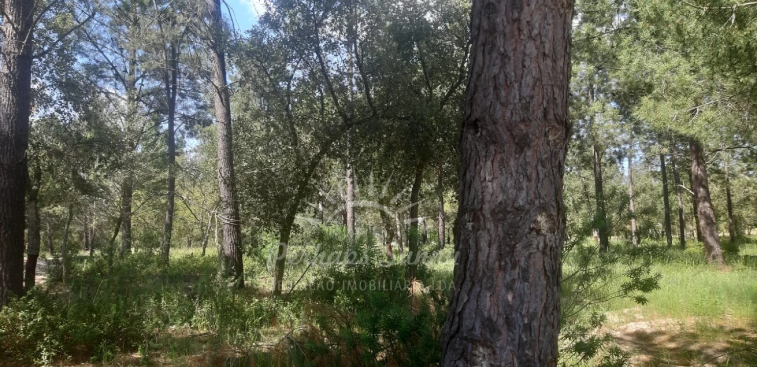 Terreno para Venda em Santa Maria do Castelo e Santiago e Santa Susana Foto 17
