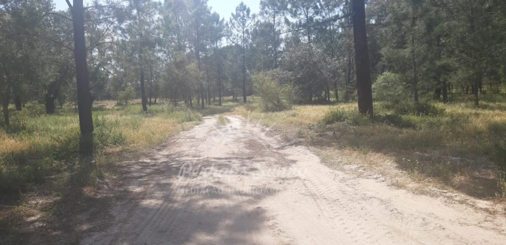 Terreno para Venda em Santa Maria do Castelo e Santiago e Santa Susana Foto 2