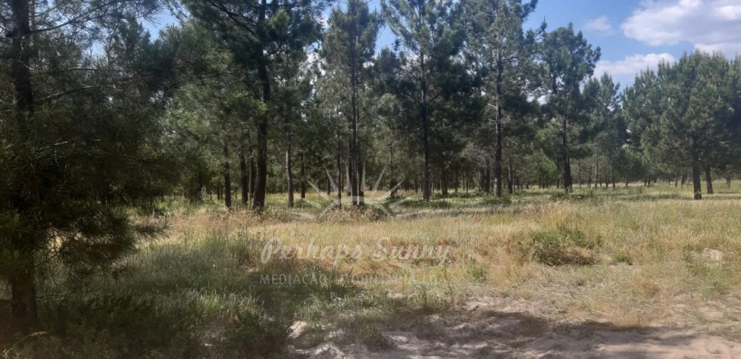 Terreno para Venda em Santa Maria do Castelo e Santiago e Santa Susana Foto 3