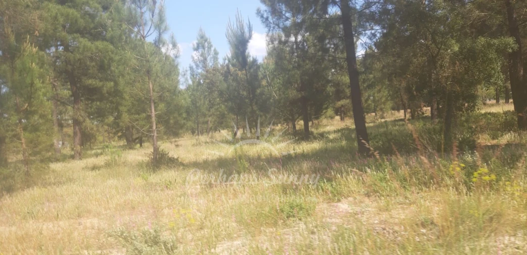 Terreno para Venda em Santa Maria do Castelo e Santiago e Santa Susana Foto 8
