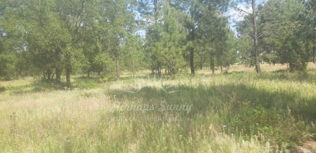 Terreno para Venda em Santa Maria do Castelo e Santiago e Santa Susana Foto 9