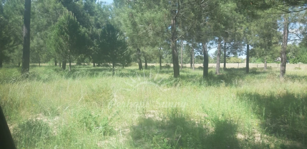 Terreno para Venda em Santa Maria do Castelo e Santiago e Santa Susana Foto 13