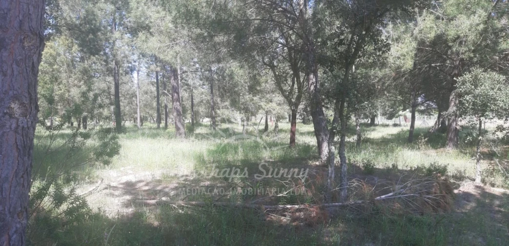 Terreno para Venda em Santa Maria do Castelo e Santiago e Santa Susana Foto 15