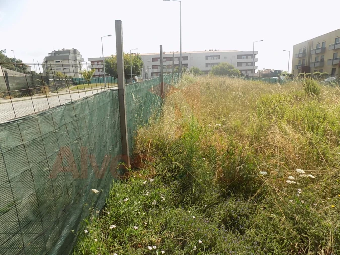 Terreno para Venda em Campanhã Foto 8
