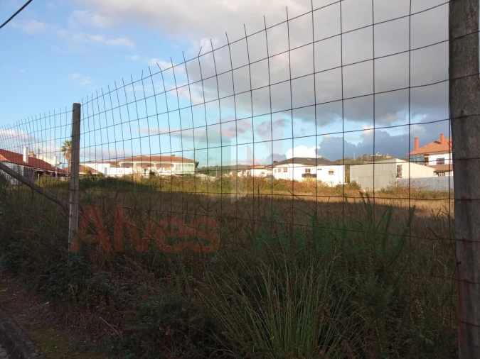 Terreno para Venda em Folgosa Foto 3
