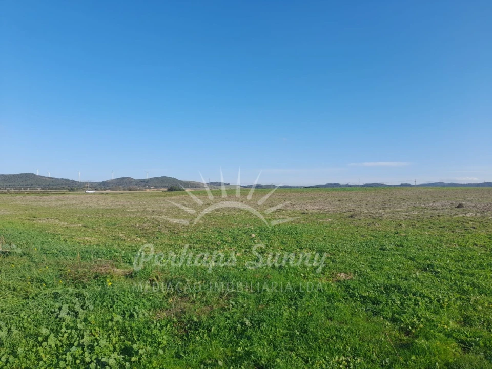 Terreno para Venda em Porto Covo Foto 2