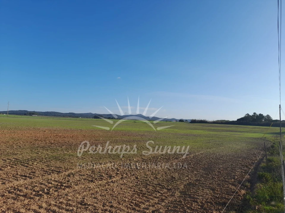 Terreno para Venda em Porto Covo Foto 7