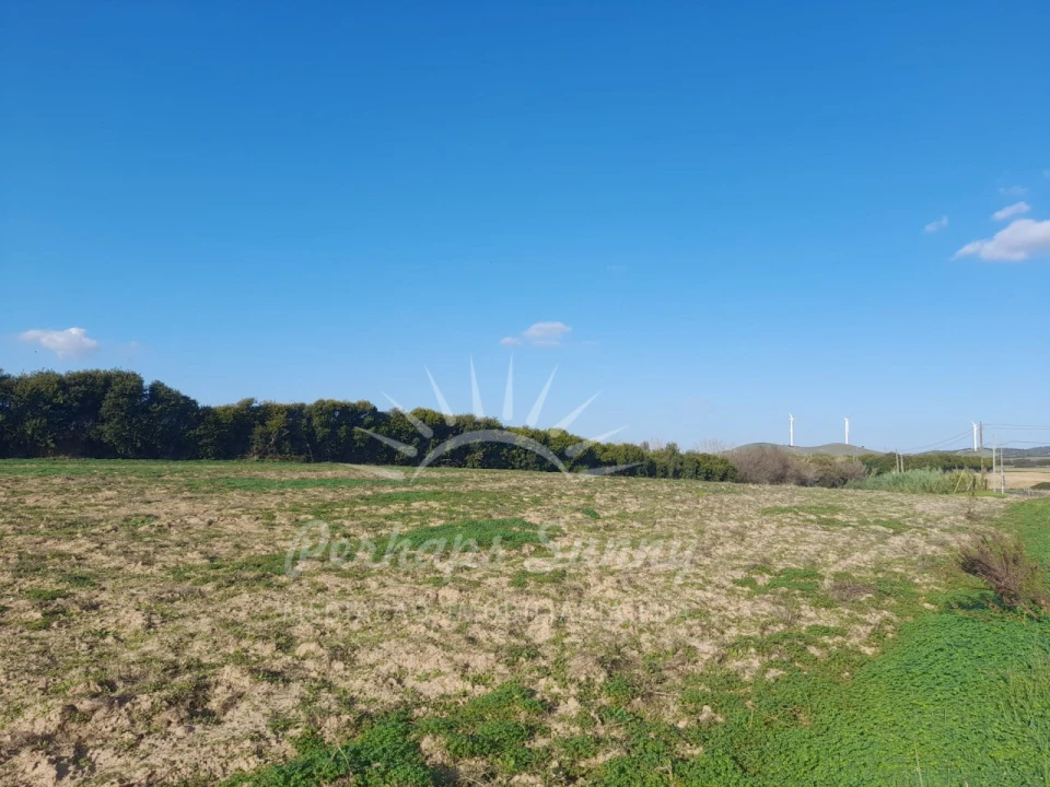 Terreno para Venda em Porto Covo Foto 8