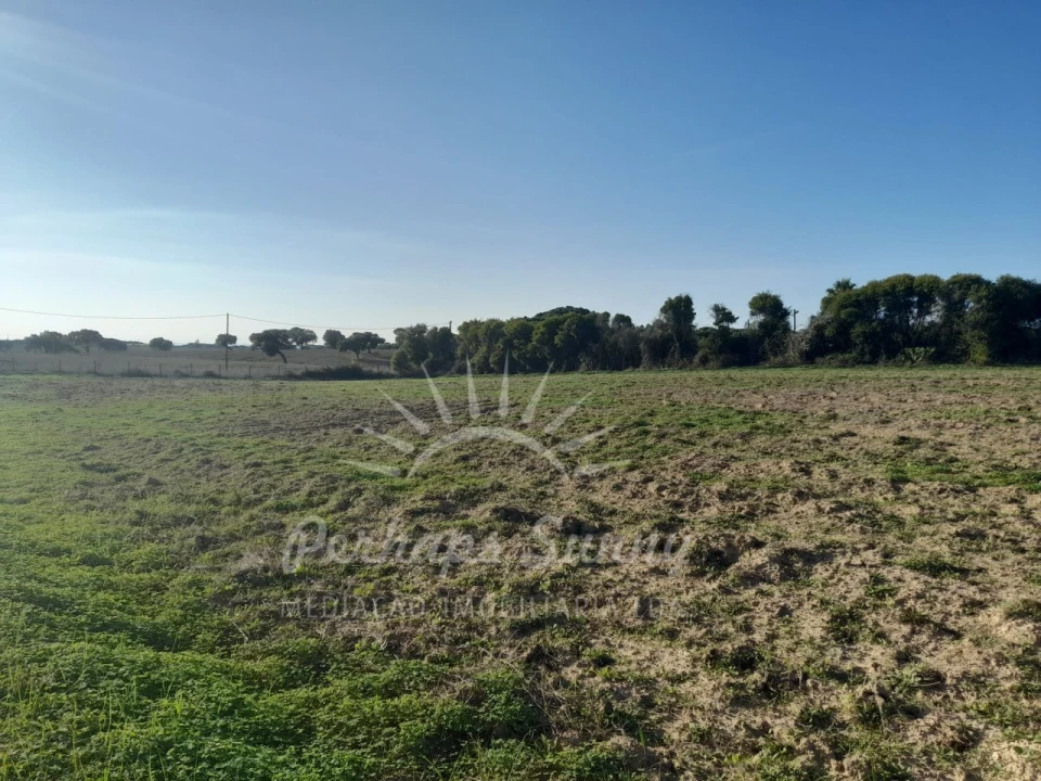 Terreno para Venda em Porto Covo Foto 9