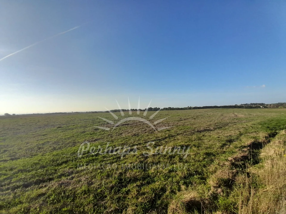 Terreno para Venda em Porto Covo Foto 10