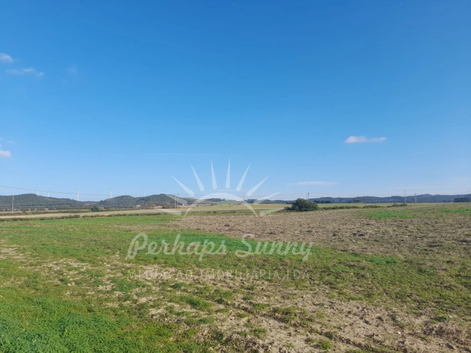 Terreno para Venda em Porto Covo Foto 12