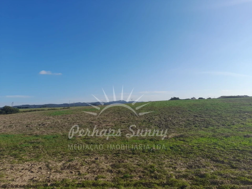 Terreno para Venda em Porto Covo Foto 14