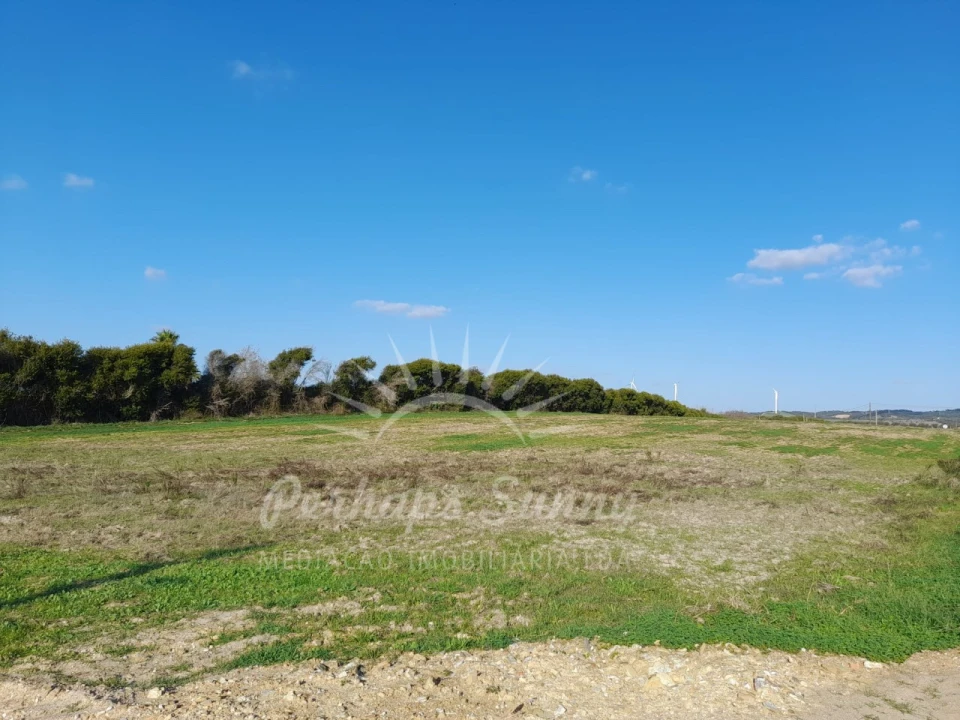 Terreno para Venda em Porto Covo Foto 15
