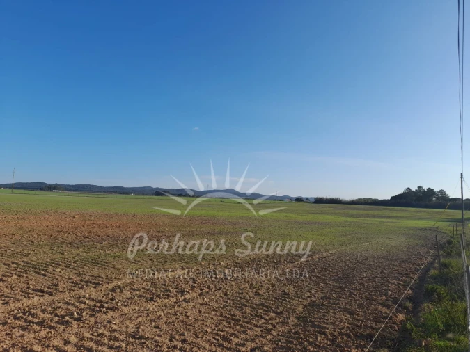 Terreno para Venda em Porto Covo Foto 7