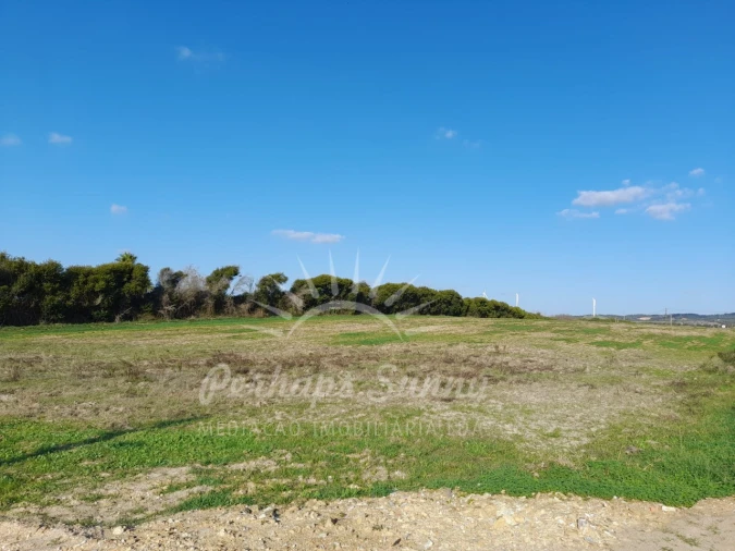 Terreno para Venda em Porto Covo Foto 15