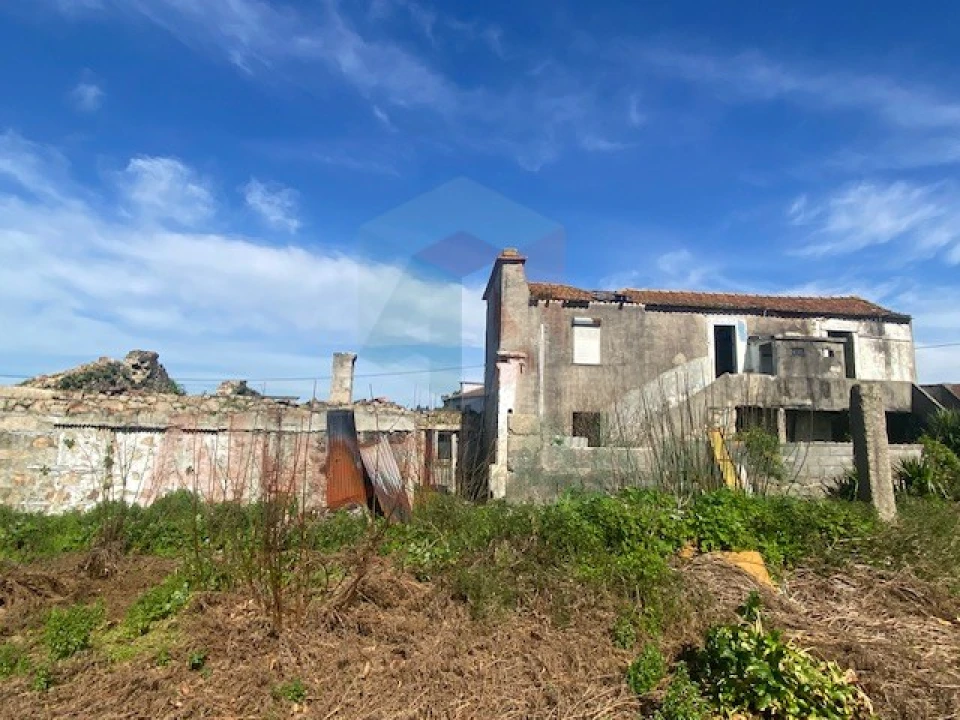 Terreno para Venda em Folgosa Foto 7