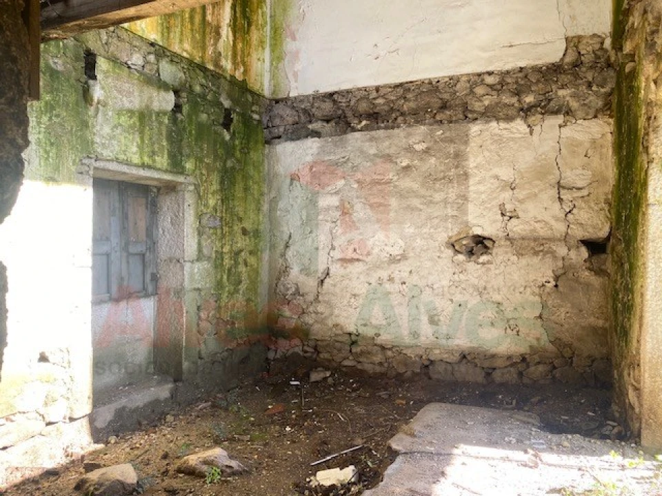 Terreno para Venda em Folgosa Foto 12