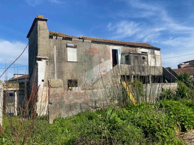 Terreno para Venda em Folgosa Foto 6